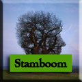 stamboom