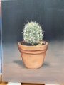 003 cactus